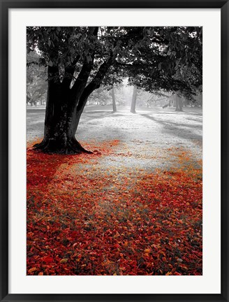 Framed Autumn Contrast Print