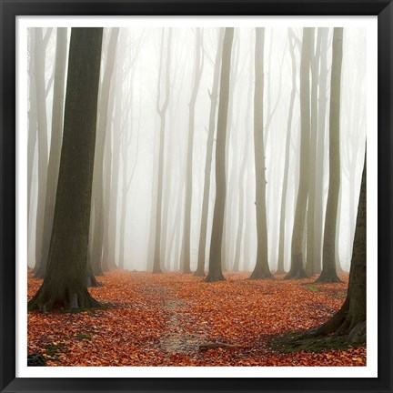 Framed Autumn Forest Floor Print