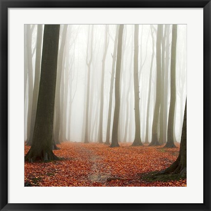 Framed Autumn Forest Floor Print