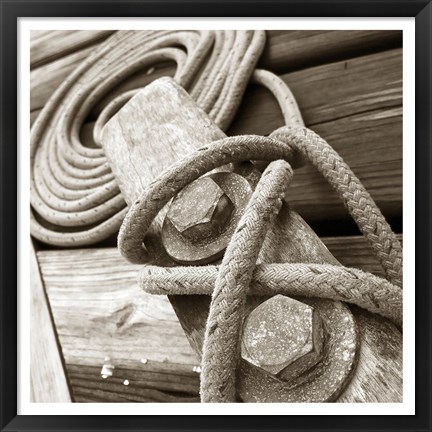 Framed Knots and Bolts Print