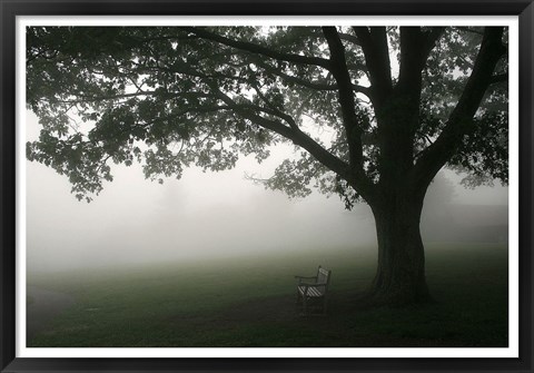 Framed Misty Bench Print