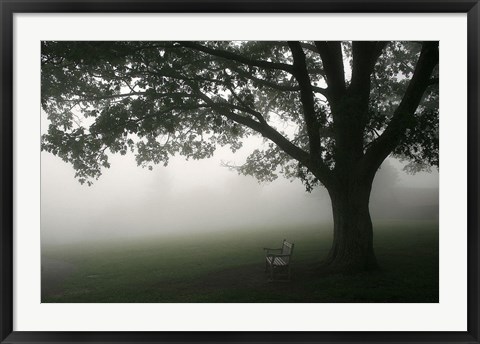 Framed Misty Bench Print