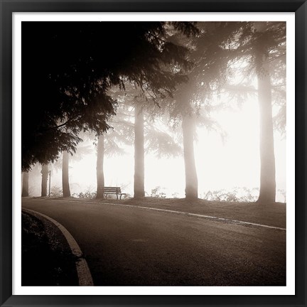 Framed Roadside Bench Print