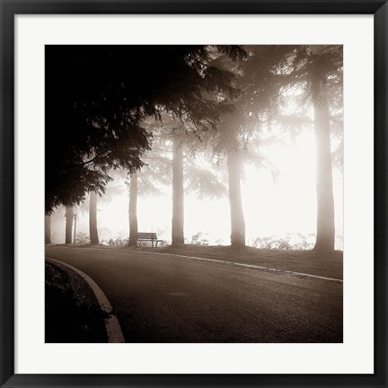 Framed Roadside Bench Print