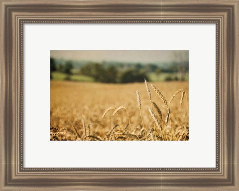 Framed Blissful Country I Print