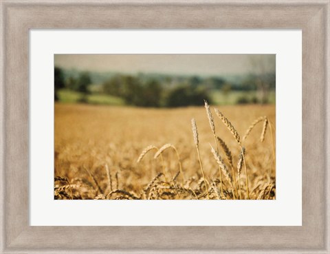 Framed Blissful Country I Print