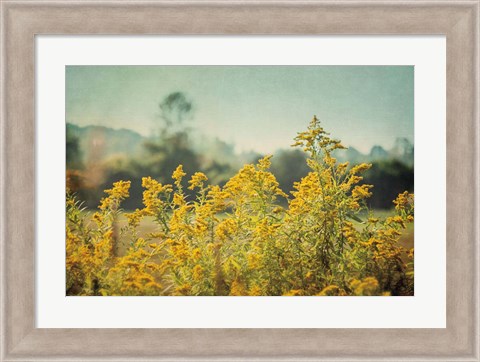 Framed Blissful Country IV Print