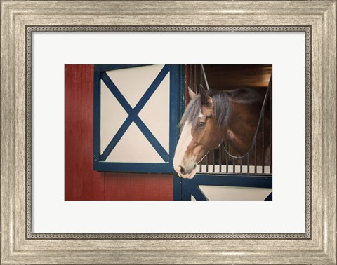 Framed Patriotic Pony I Print