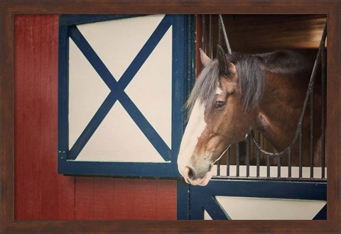 Framed Patriotic Pony I Print