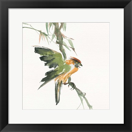 Framed Formosan Firecrest Print