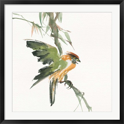 Framed Formosan Firecrest Print