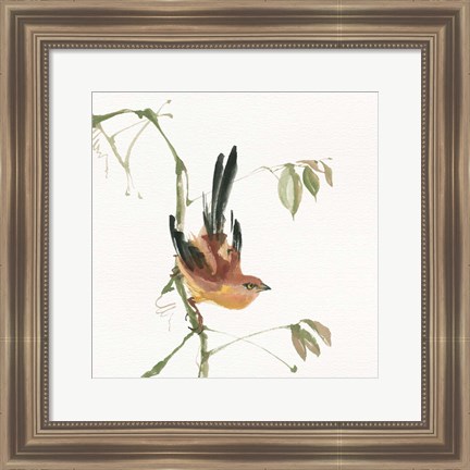 Framed Mountain Bush Warbler Print