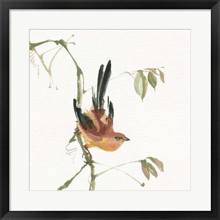 Framed Mountain Bush Warbler Print