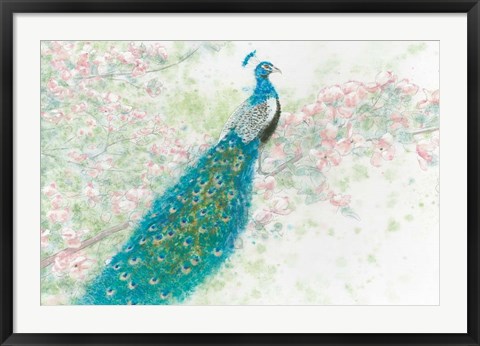 Framed Spring Peacock I Pink Flowers Print