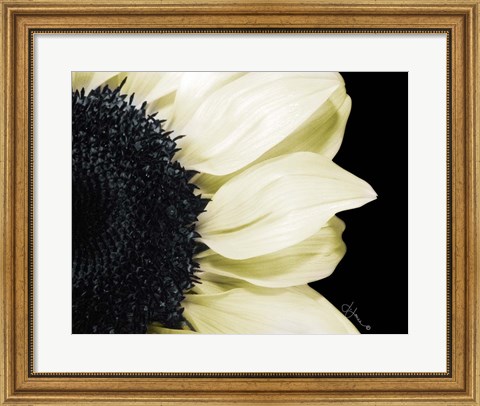 Framed Splashes of Blonde Print