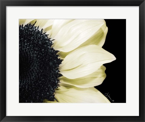 Framed Splashes of Blonde Print