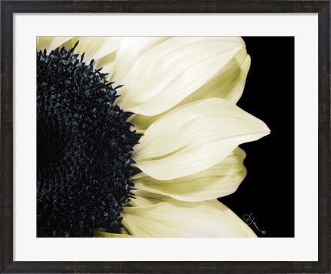 Framed Splashes of Blonde Print