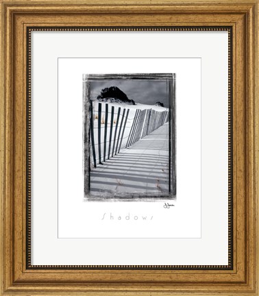 Framed Shadows Print