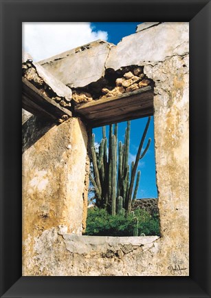 Framed Cactus View Print