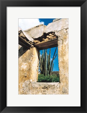 Framed Cactus View Print