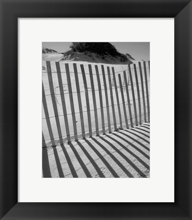 Framed I.R. Fla Fence 2 Print