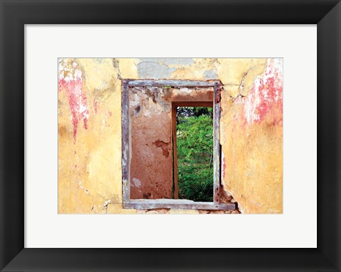 Framed Doors in Window Print