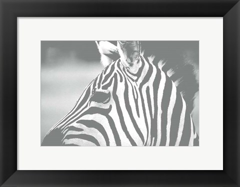 Framed Natural Harmony Print