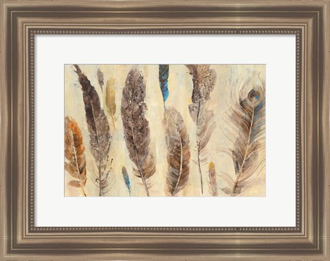 Framed Feather Study Print