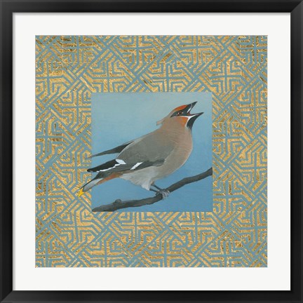 Framed Cedar Waxwing Border Print