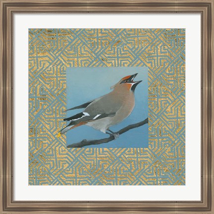 Framed Cedar Waxwing Border Print