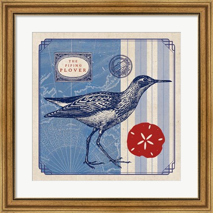 Framed Sea Bird I Print