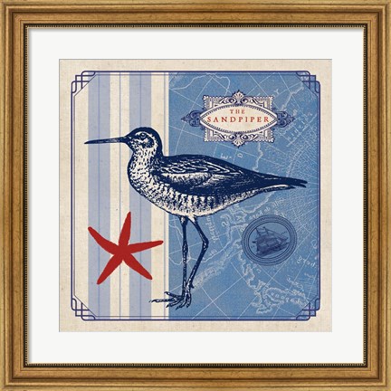 Framed Sea Bird II Print