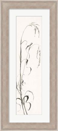 Framed Gray Grasses III Print