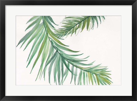 Framed Ferns IV Square Print