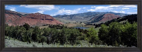 Framed Trees on Red Hills, Bridger Teton National Forest, Wyoming Print