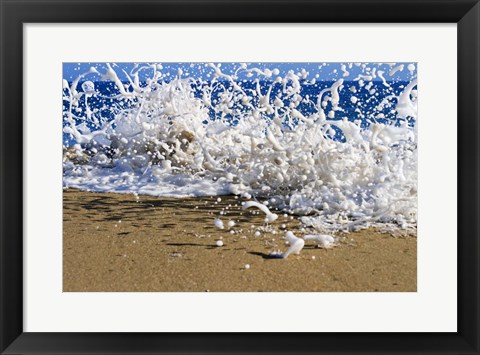 Framed Oahu Beach, Hawaii I Print