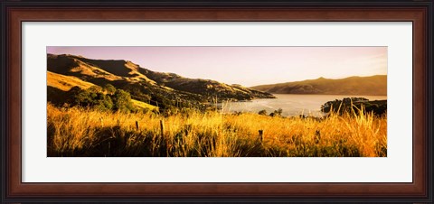 Framed Akaroa Harbour, Banks Peninsula, New Zealand Print