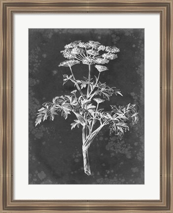 Framed Slate Floral II Print