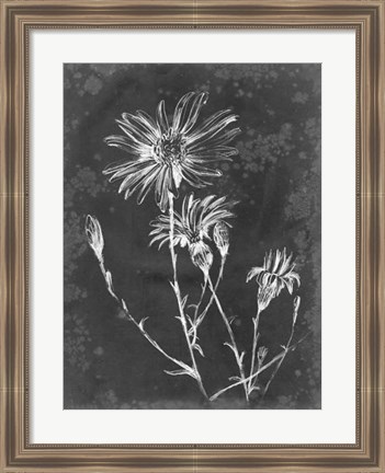 Framed Slate Floral III Print