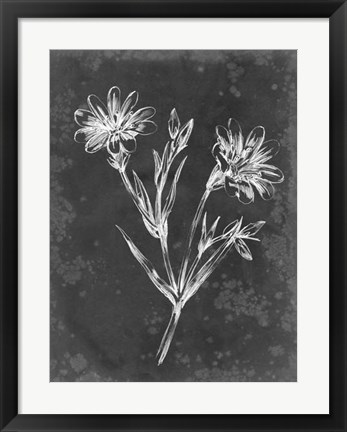 Framed Slate Floral IV Print