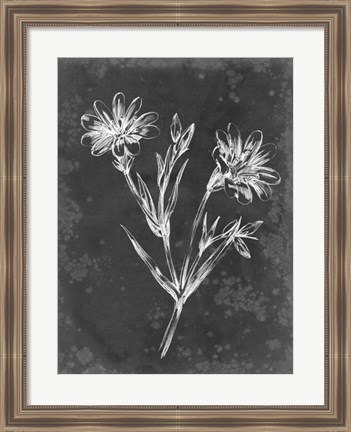 Framed Slate Floral IV Print