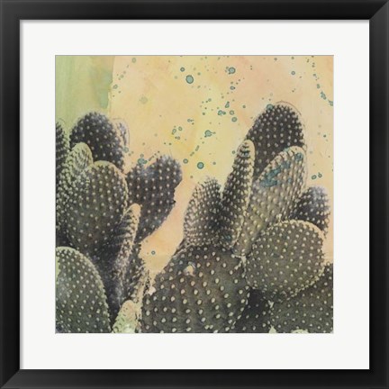 Framed Desert Dreams II Print