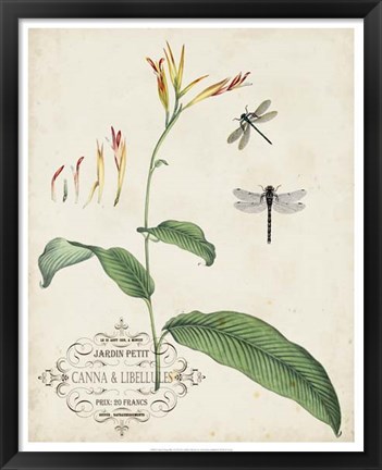 Framed Canna &amp; Dragonflies I Print