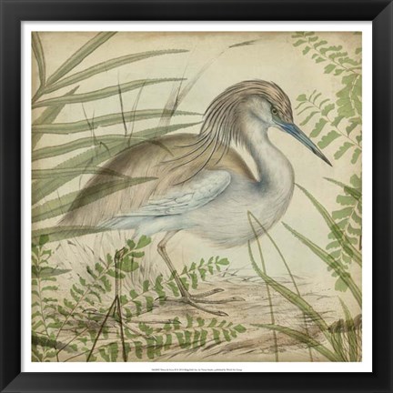 Framed Heron &amp; Ferns II Print