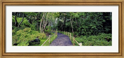 Framed Tea Garden Walkway, San Francisco Botanical Gardens Print