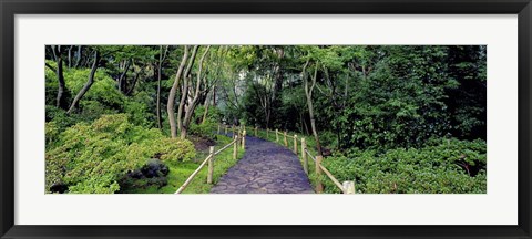 Framed Tea Garden Walkway, San Francisco Botanical Gardens Print