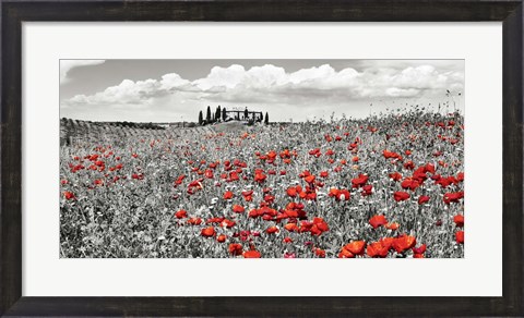 Framed Farm House with Cypresses and Poppies, Tuscany, Italy Print