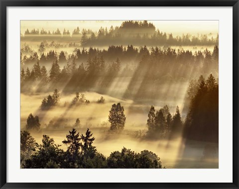 Framed Fog Impression At Sindelbachfilz, Bavaria, Germany Print