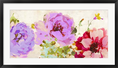 Framed Beautiful Gems Print