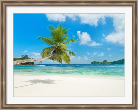 Framed Tropical beach, Seychelles (detail) Print